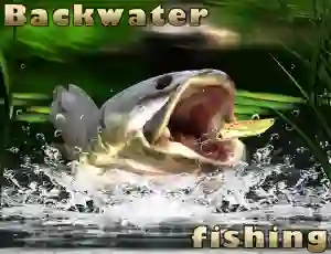 თამაში Backwater Fishing ონლაინ