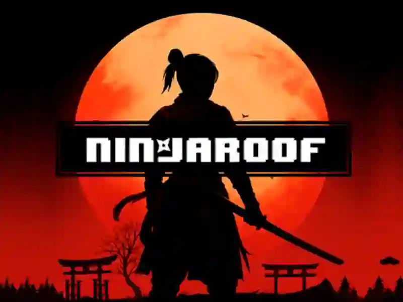 თამაში Ninja Roof ონლაინ