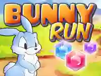 თამაში Bunny Run ონლაინ