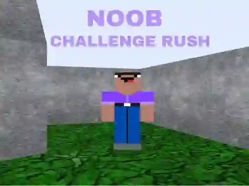 თამაში Noob Challenge Rush ონლაინ