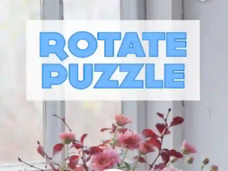 თამაში Rotate Puzzle ონლაინ