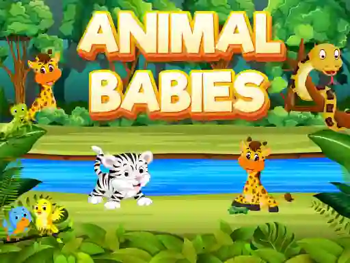 თამაში Animal Babies ონლაინ