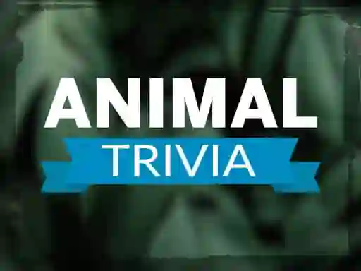 თამაში Animal Trivia ონლაინ