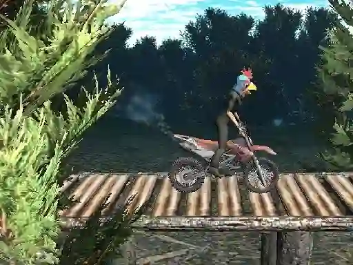 თამაში Bike Trial Xtreme Forest ონლაინ