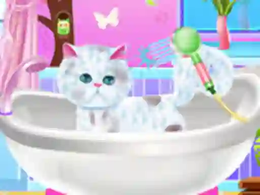 თამაში Excellent Pet Groomer ონლაინ
