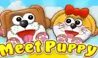 თამაში Meet Puppy ონლაინ