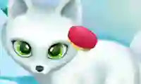 თამაში Paws to Beauty Arctic Edition ონლაინ