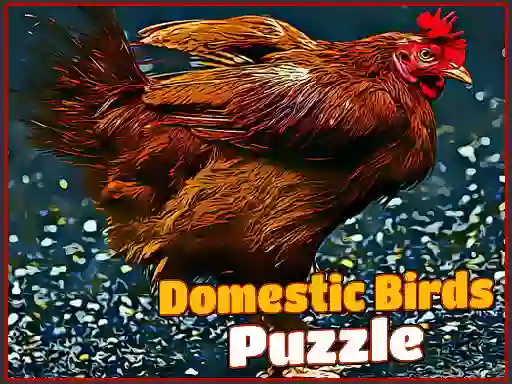 თამაში Domestic Birds Puzzle ონლაინ