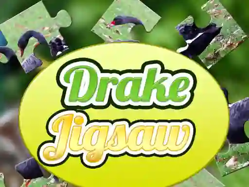 თამაში Drake Jigsaw ონლაინ