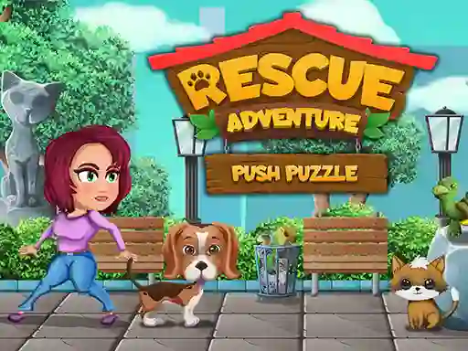 თამაში Rescue Adventure Push Puzzle ონლაინ