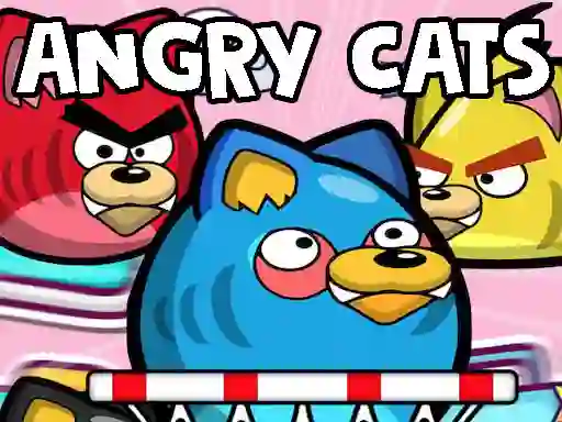 თამაში Angry Cats ონლაინ