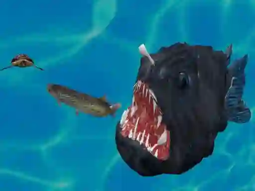 თამაში Fish 3d ონლაინ