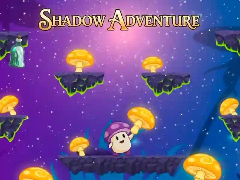 თამაში Shadow Adventure ონლაინ
