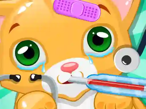 თამაში Kitty Doctor ონლაინ