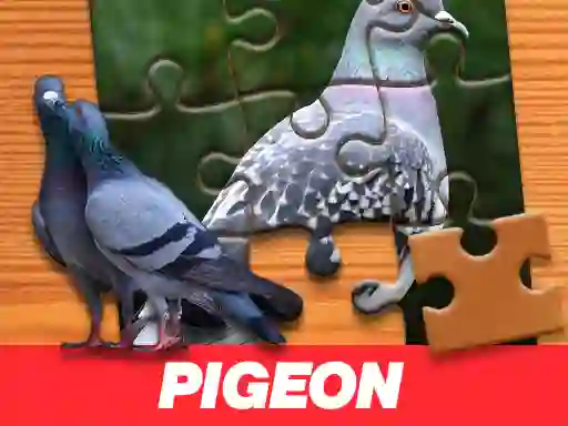 თამაში Pigeon Jigsaw Puzzle ონლაინ