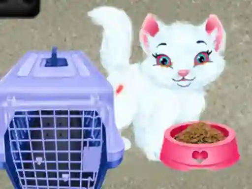 თამაში Baby Taylor Pet Care ონლაინ