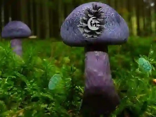 თამაში Mushroom Forest Adventure ონლაინ