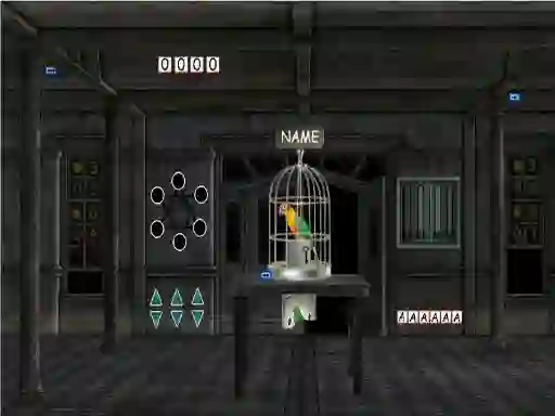 თამაში Parrots Escape ონლაინ