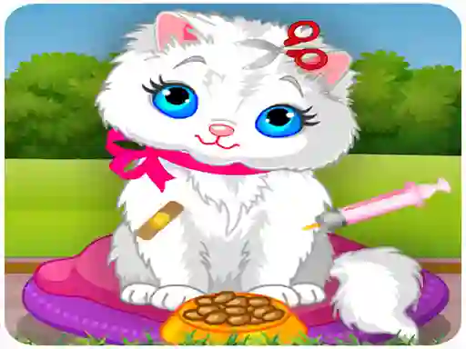თამაში Vet Cat Clinic ონლაინ