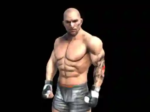 თამაში Fight Arena Online ონლაინ