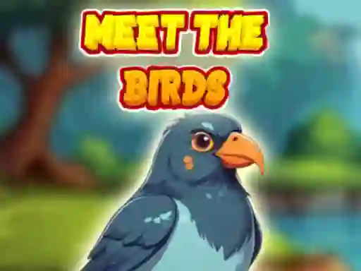 თამაში Meet The Birds ონლაინ