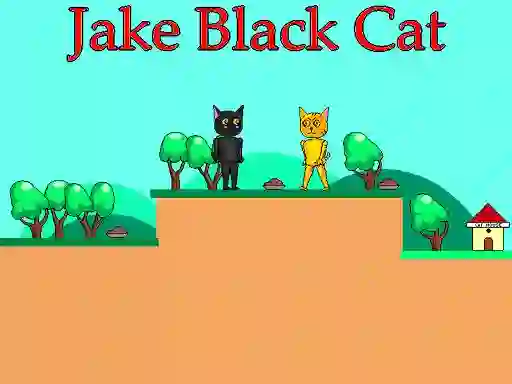 თამაში Jake Black Cat ონლაინ