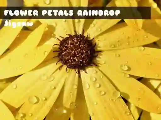 თამაში Flower Petals Raindrop Jigsaw ონლაინ