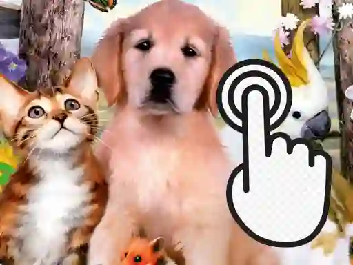 თამაში Pets Clicker ონლაინ