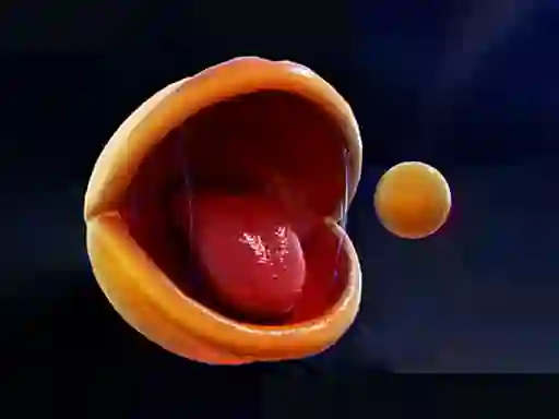 თამაში Pac-Man ონლაინ