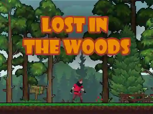 თამაში Lost in the Woods ონლაინ