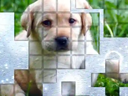 თამაში PicPu Dog ონლაინ