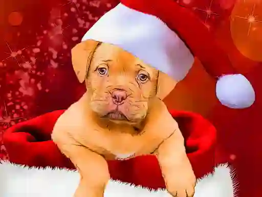 თამაში Christmas Dogs Styles ონლაინ