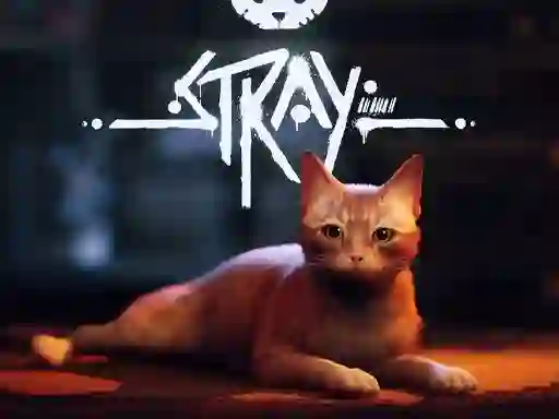 თამაში Stray ონლაინ