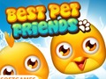 თამაში საუკეთესო Pet მეგობრები  ონლაინ