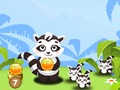 თამაში Raccoon სამაშველო  ონლაინ