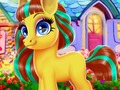 თამაში ბედნიერი Pony  ონლაინ