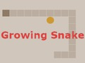 თამაში იზრდება Snake  ონლაინ