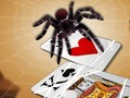 თამაში Jumping spider ონლაინ
