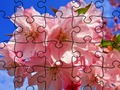 თამაში Jigsaw Puzzle: ყვავილები  ონლაინ