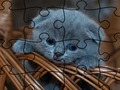 თამაში Jigsaw Puzzle: კატები  ონლაინ