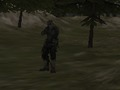 თამაში FPS სააგენტო: ტყე  ონლაინ