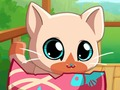 თამაში ჩემი ჯიბის Pets Kitty Cat  ონლაინ