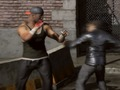 თამაში Raging Punch 3D ონლაინ