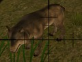თამაში ცხოველთა Hunters  ონლაინ