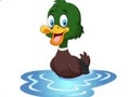 თამაში Duck მეხსიერება გამოწვევა  ონლაინ