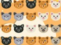 თამაში Cute Kitty მატჩი 3  ონლაინ