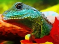 თამაში ონლაინ თამაში Chinese Water Dragon Jigsaw  ონლაინ