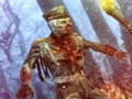 თამაში Zombie Hunter Hero ონლაინ