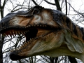 თამაში T-Rex დინოზავრის Jigsaw  ონლაინ