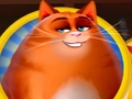 თამაში Kitty scramble ონლაინ